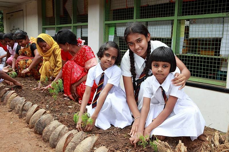 Green Delhi Campaign: Planting 10,000+ Native Trees with Student Volunteers